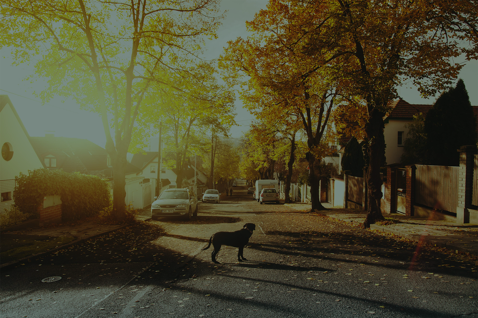 Neighborhood_header2